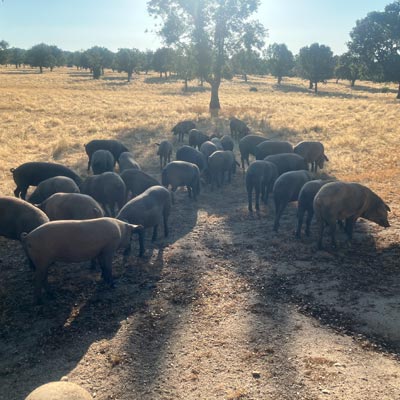 Valdelazarza Valdelazarza